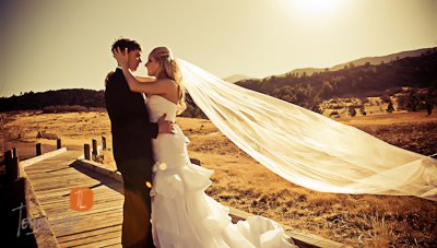 Teresa Lee Legacy Stories