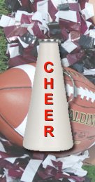 Cheer/POM