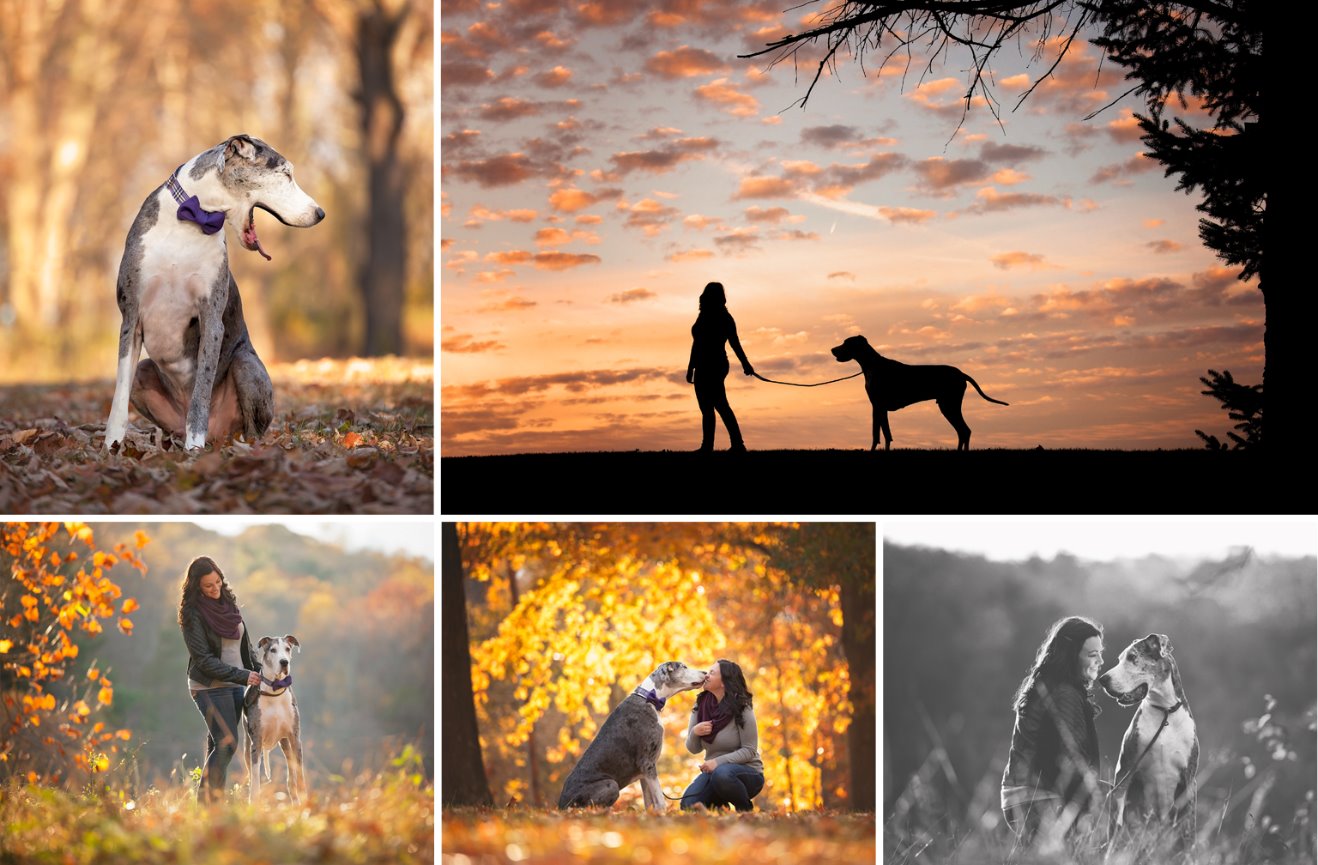 South Park Photographer