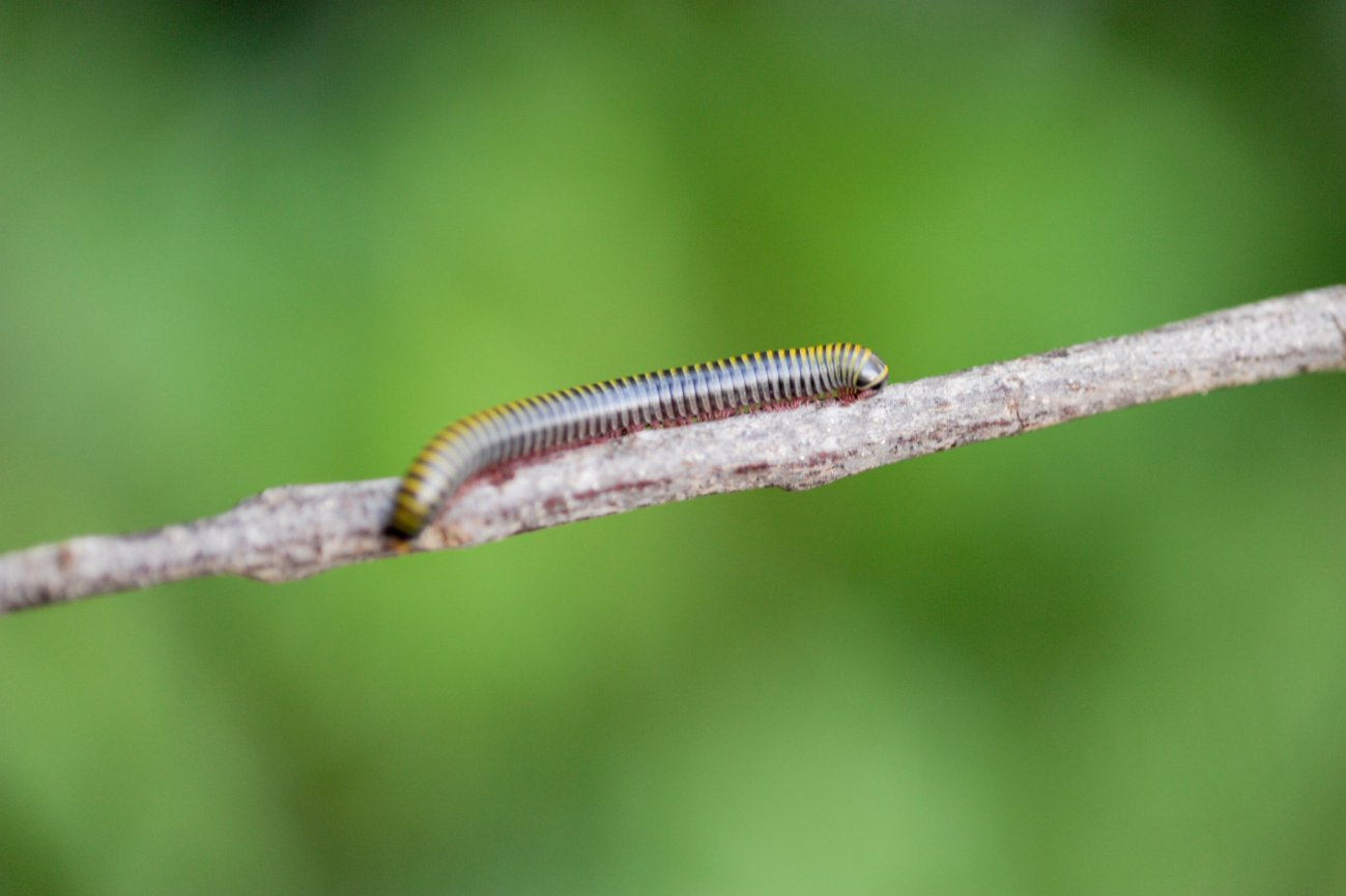 Nighttime in South Florida