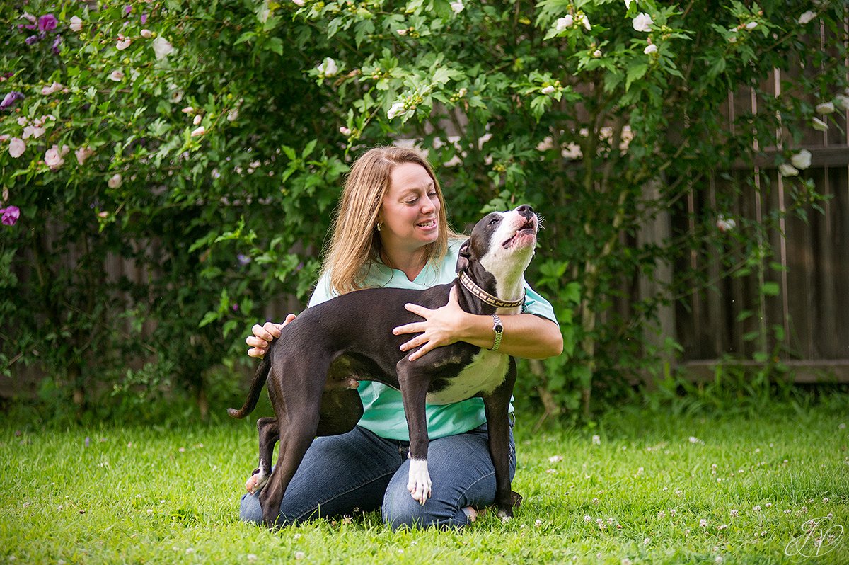 dog rescue, albany pet portrait photographer