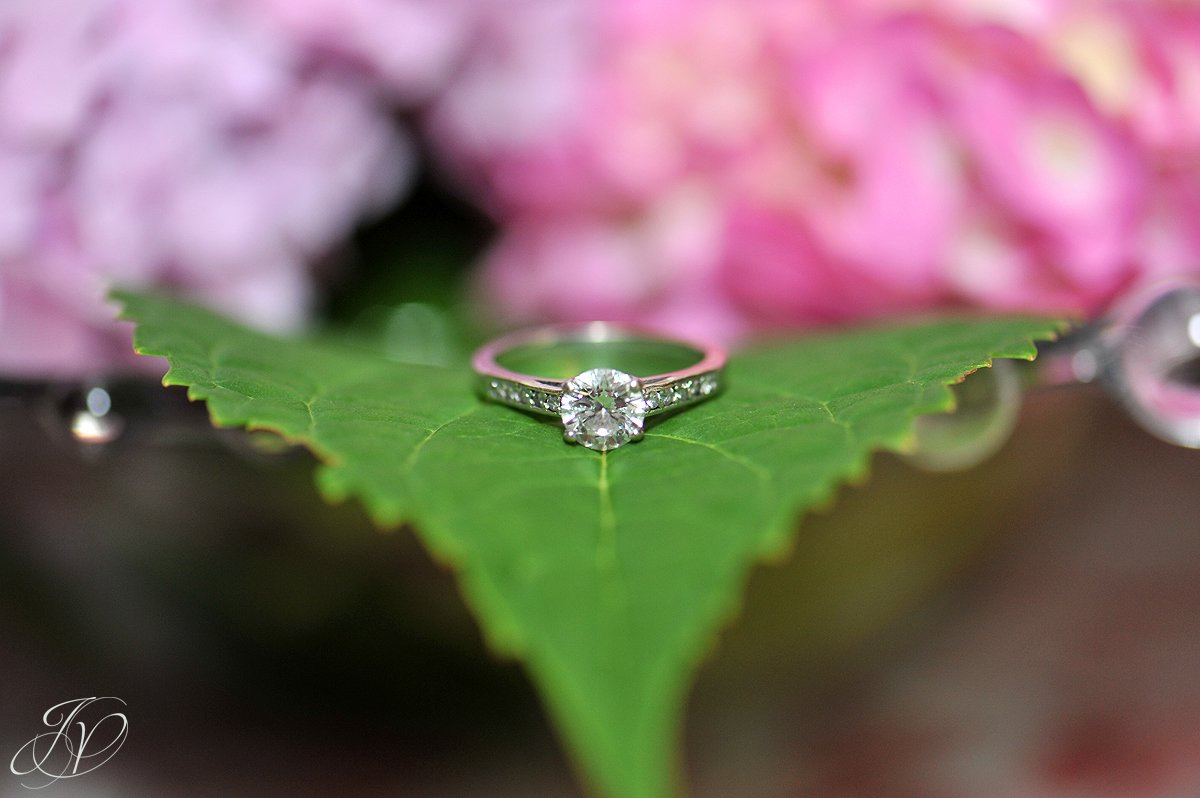 Mohawk River Country Club & Chateau, Saratoga Wedding Photographer, wedding ring, wedding details photo