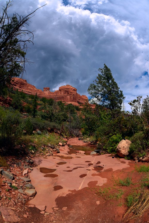 Hidden Valley Grasses 20x30 /26x40 / 33x50