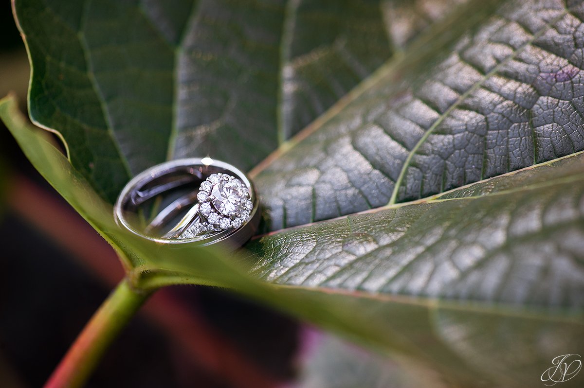 unique photo of wedding rings in flowers