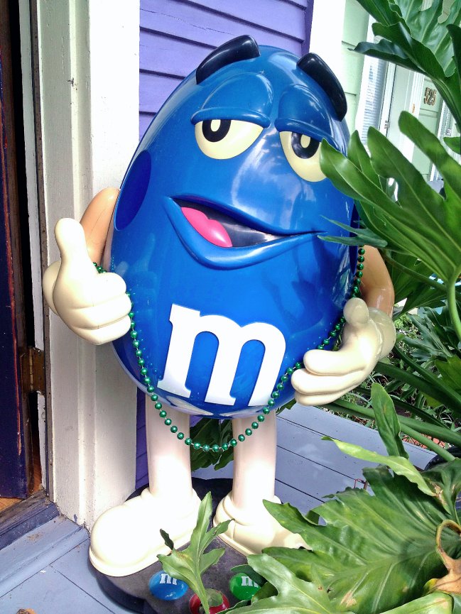 Family Photographs - New Orleans - Pamela Reed Photography