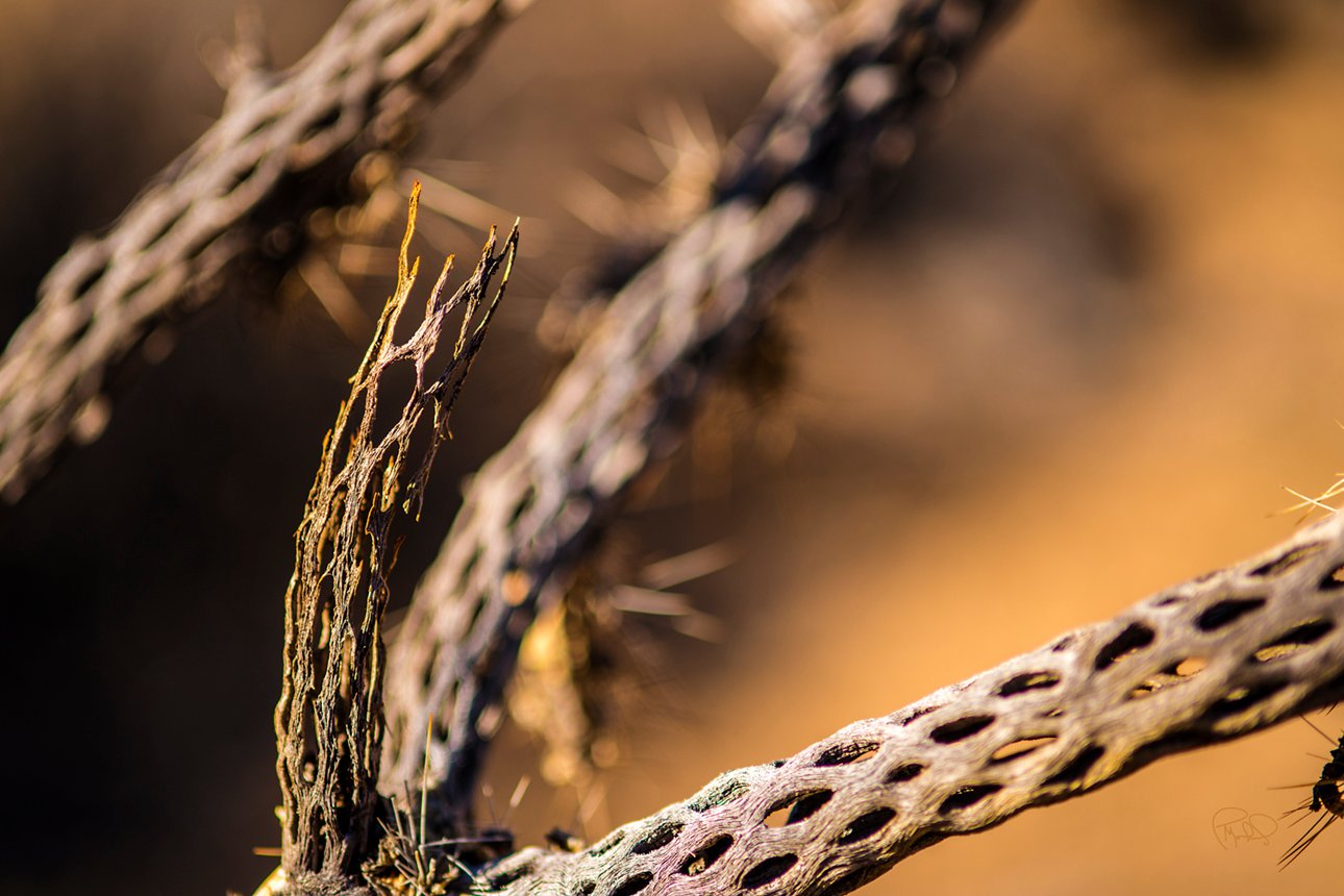 Red Light Morning 20x30