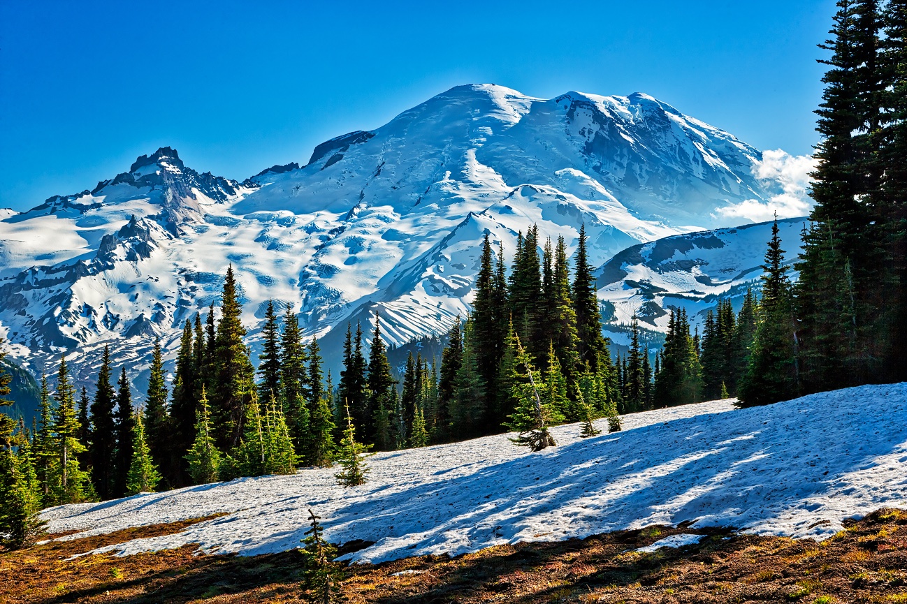 Mt. Rainier from Sunrise - 110728-126
