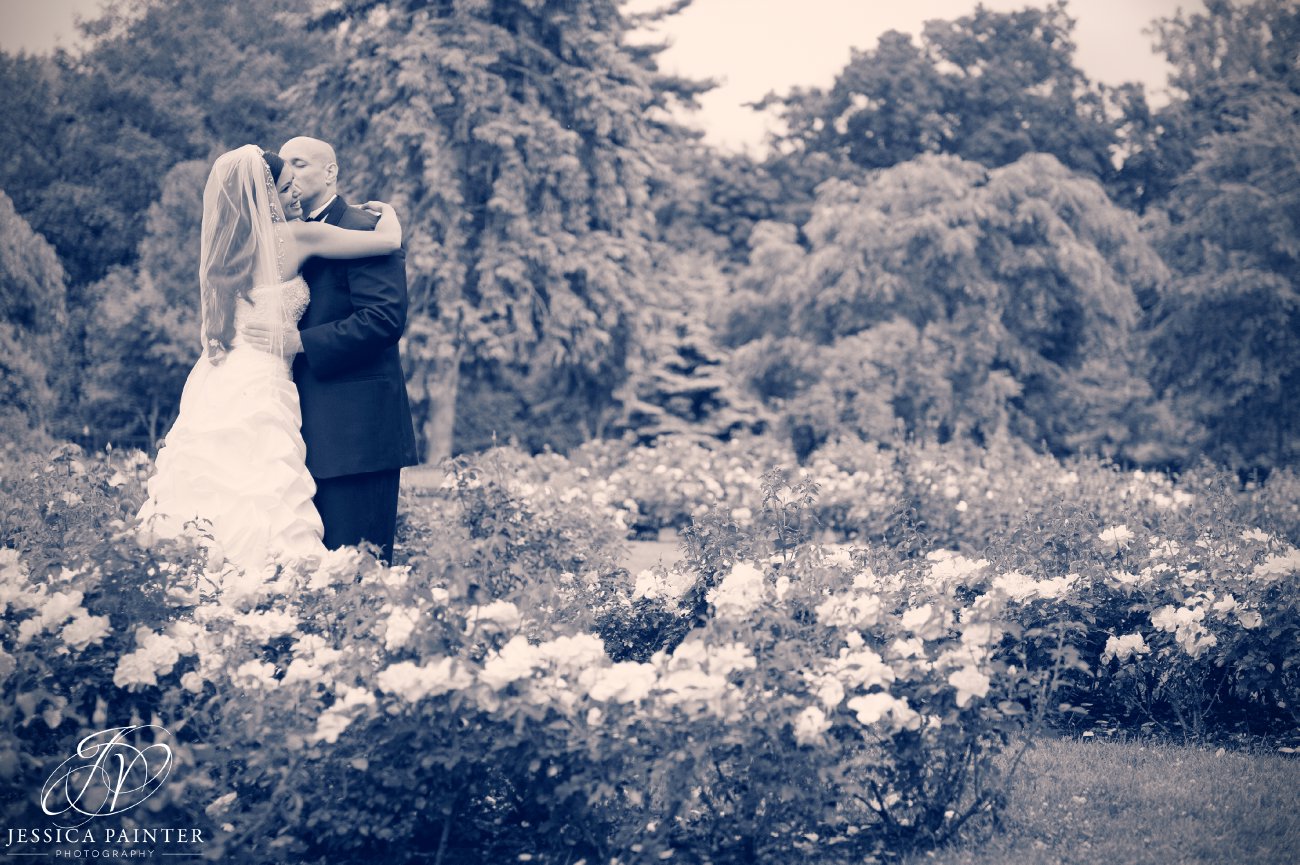 albany wedding, schenectady wedding, Schenectady rose garden, bride and groom, portrait photos