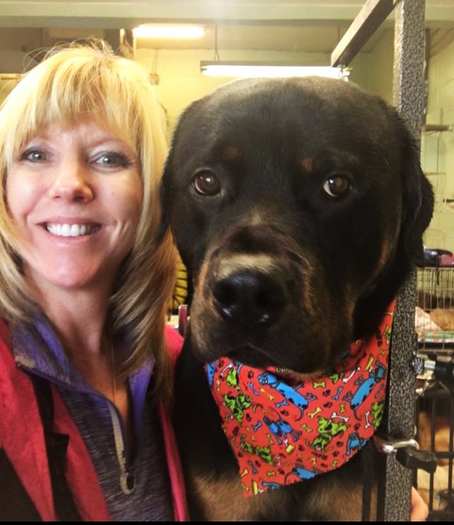 ABOUT Wendy Groomingdales All Breeds Pet Grooming