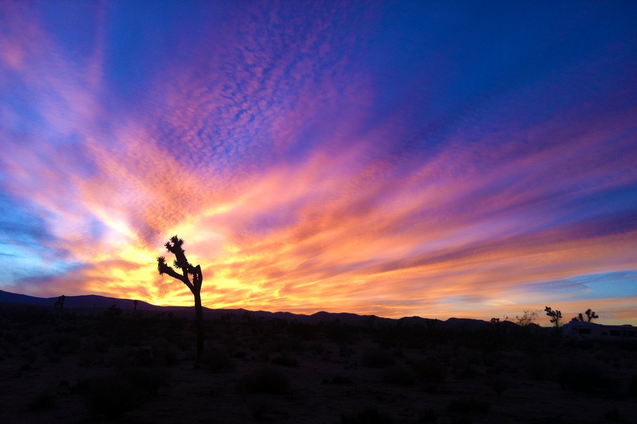 Persistence 20x30 / 26x40 / 33x50