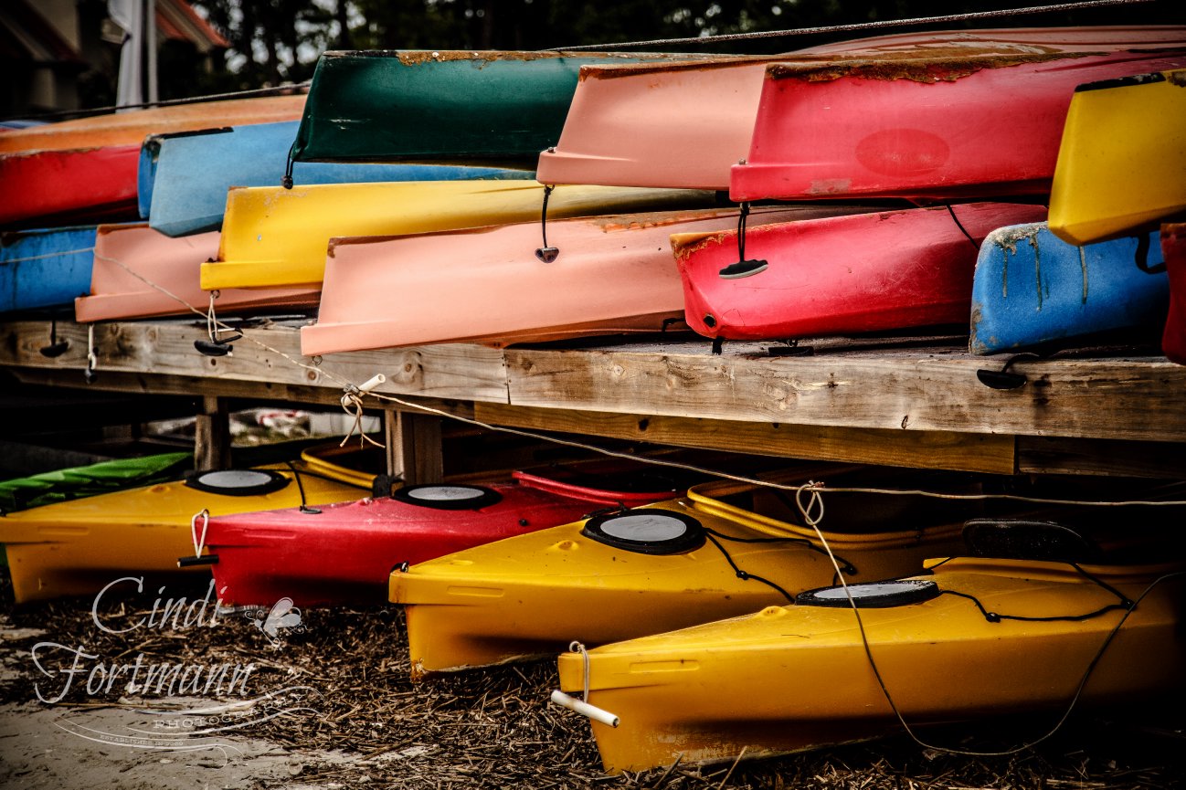 Fine Art Boutique Shop