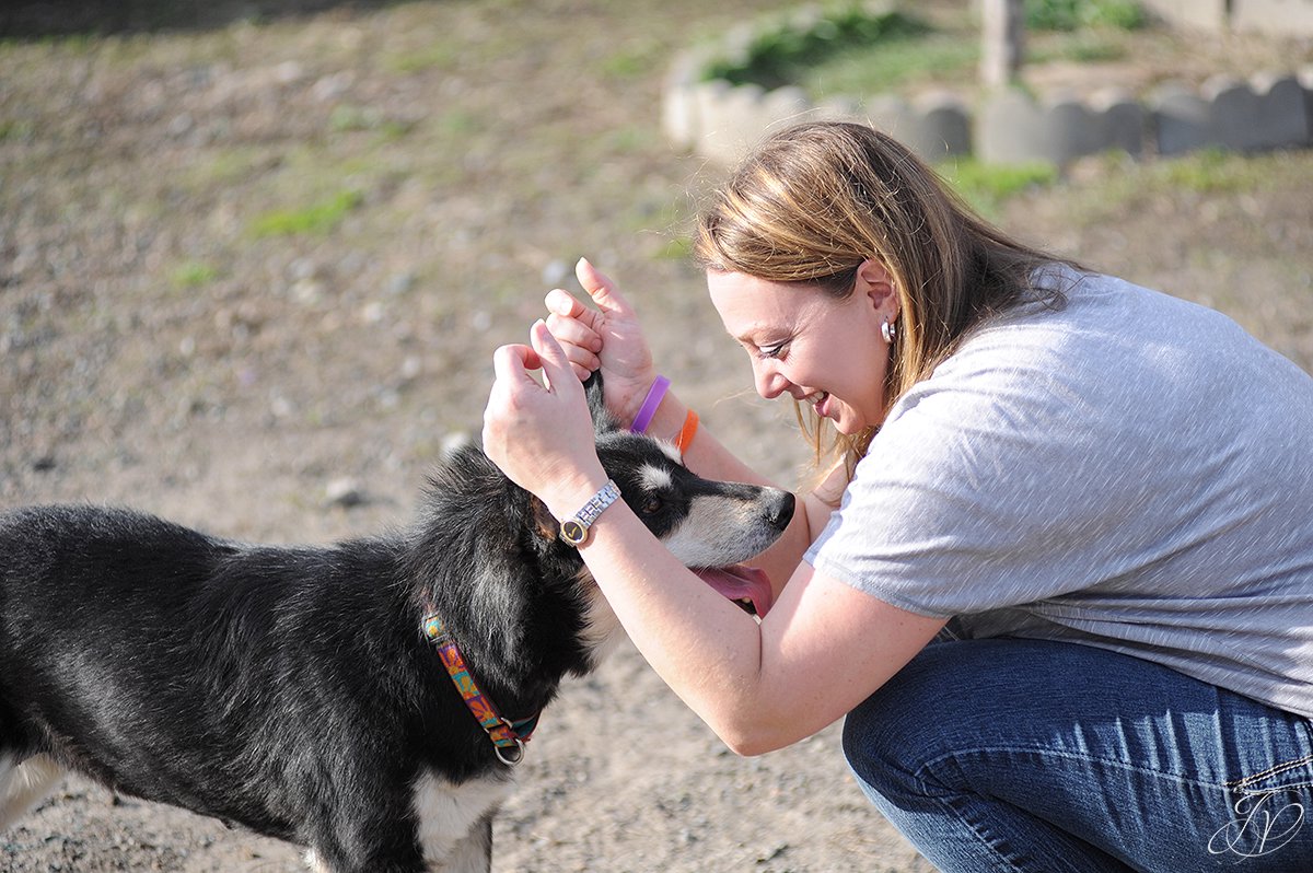 photo of dog happy and playing with rescuer