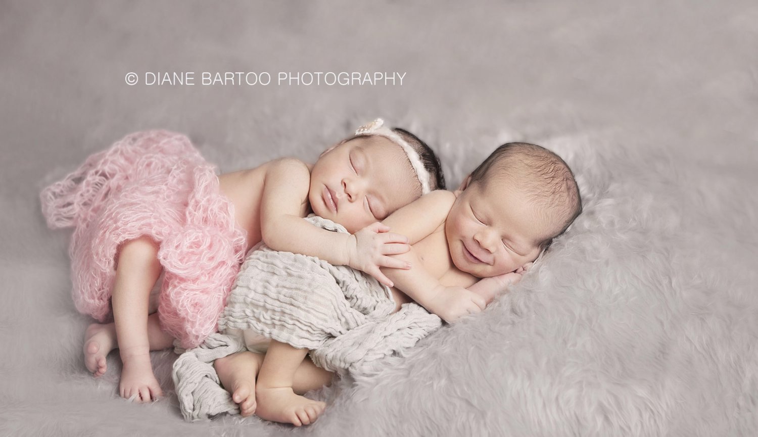 newborn twins photography