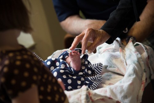 Baby Girl Newborn Portraits - Colorado