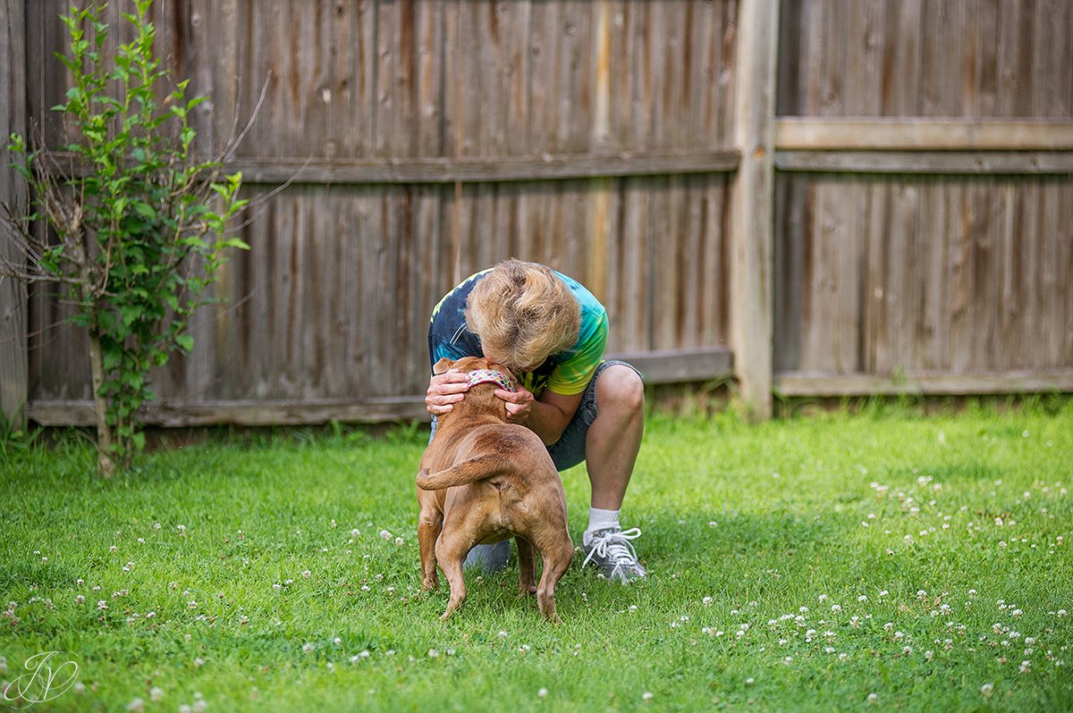 animal rescue, albany pet portrait photographer
