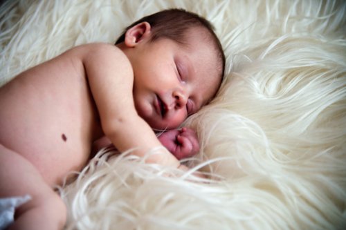 Baby Girl Newborn Portraits - Colorado