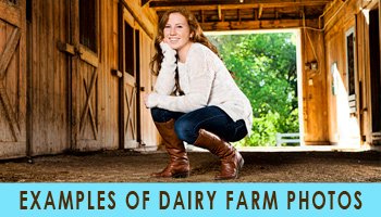 EXAMPLES OF DAIRY FARM PHOTOS