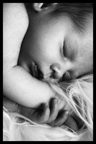 Baby Girl Newborn Portraits - Colorado