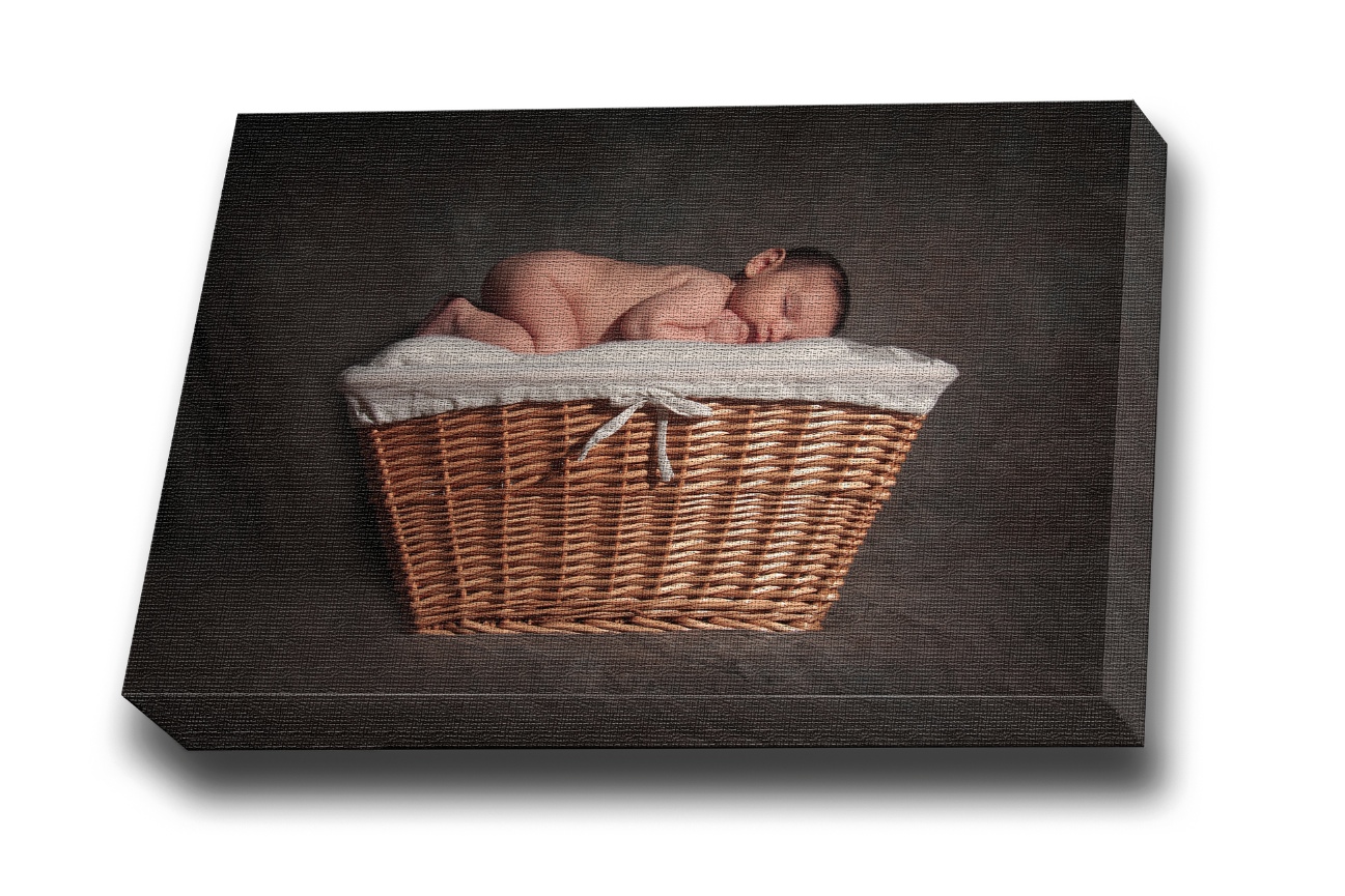 Canvas Art (Extra Large)