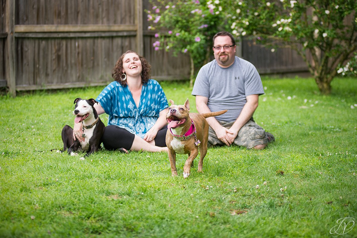 dog rescue, albany pet portrait photographer