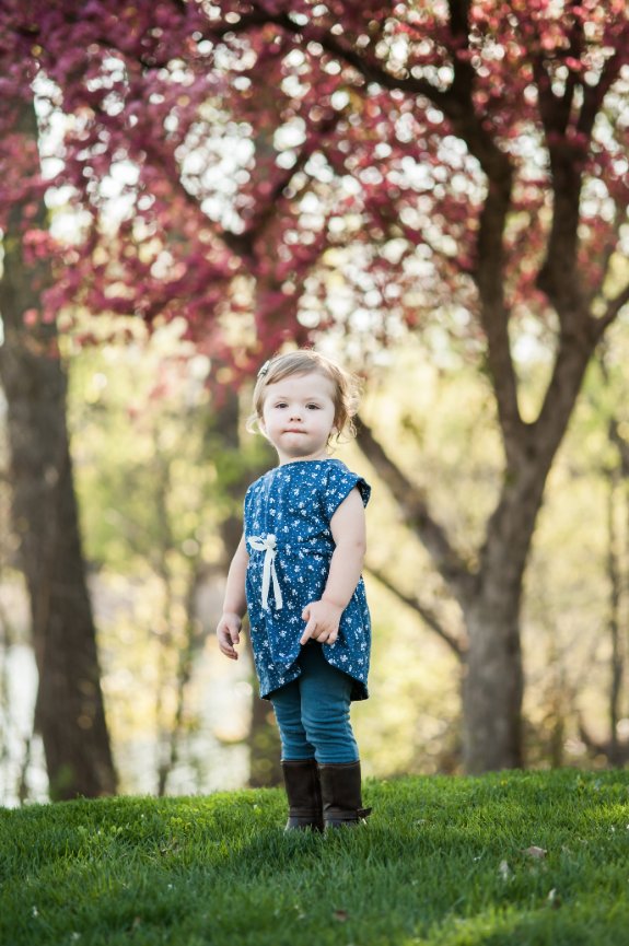 New Puppy Reveal - Minneapolis