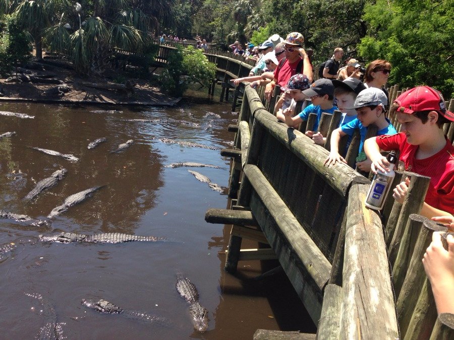 2016 Georgia Florida Trip