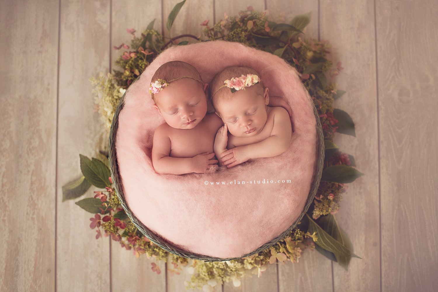 newborn twin girls in basket with florals and greenery