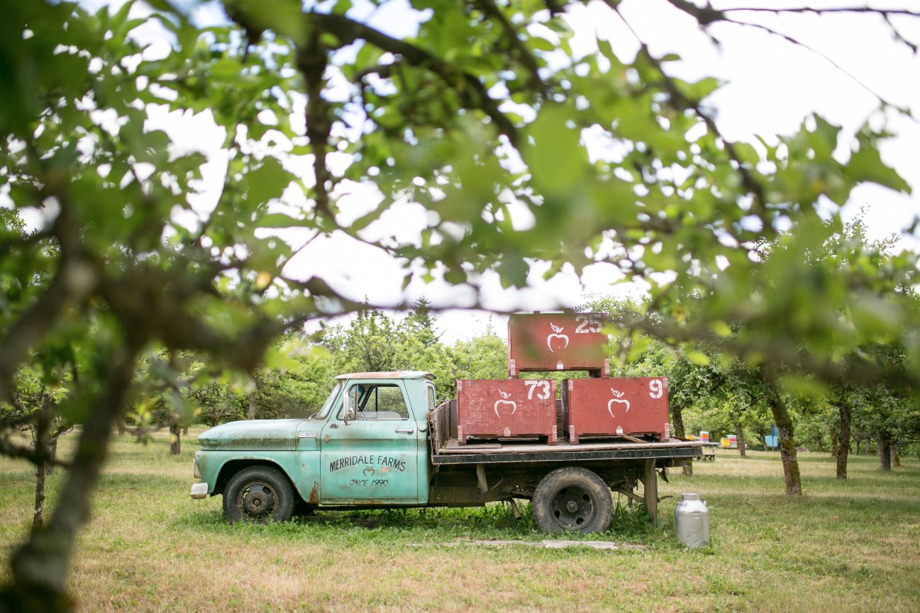 Bird's Eye Cove - Sonia + Adam