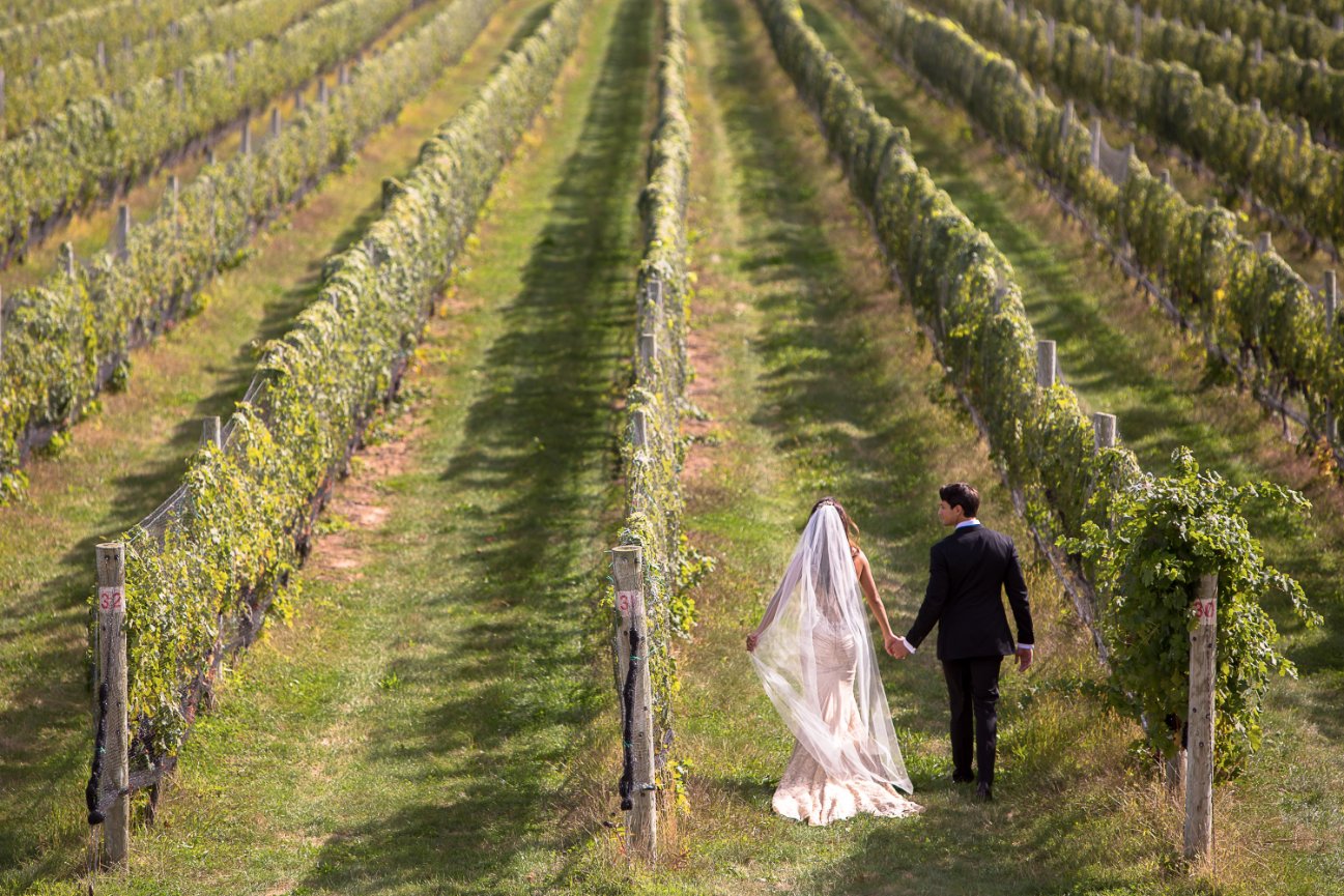 Brittany  September 26, 2015