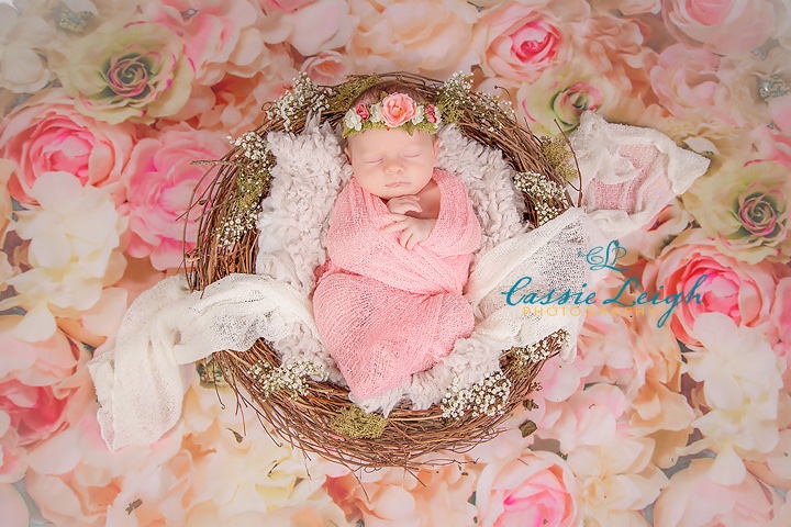 Princess Ava ( Concord NC, Newborn Photographer)