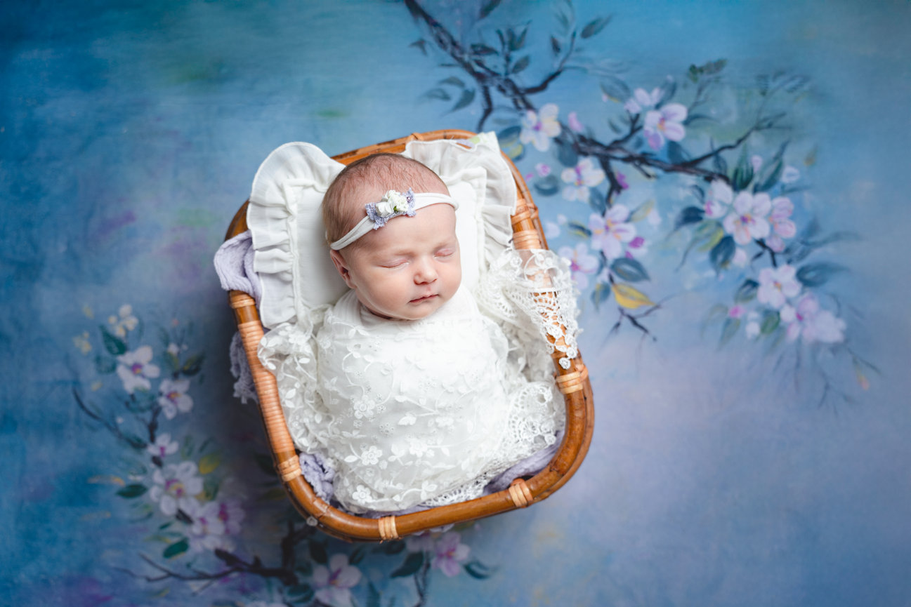 The Grove at City Market