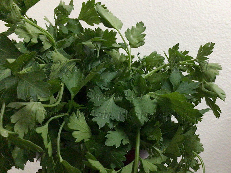 Kaiyah Takota The Final Chapter - A Novel Husky: Chapter 48