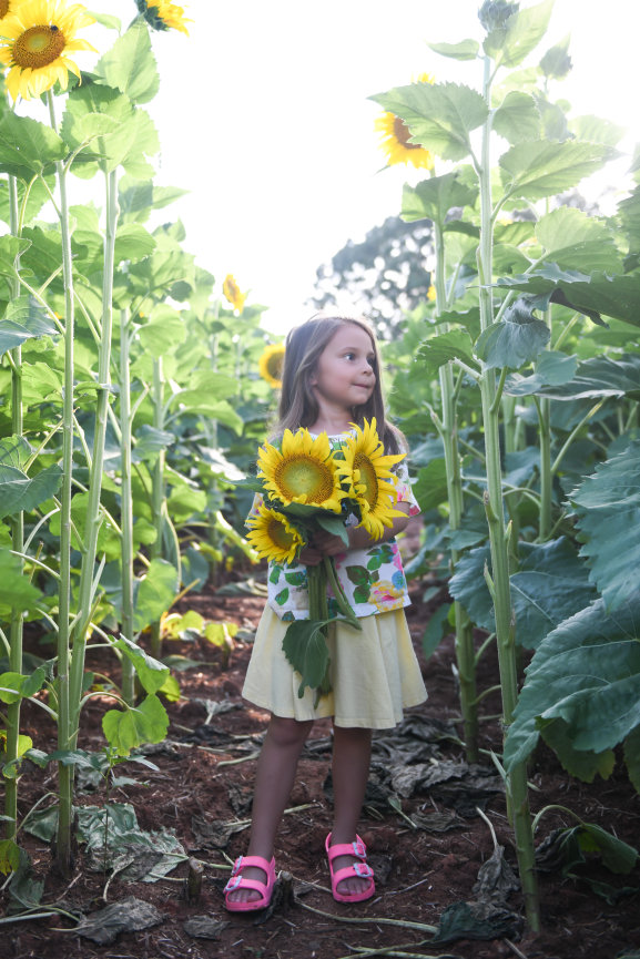 A Sweet One-Year Milestone Session in the Greenhouse