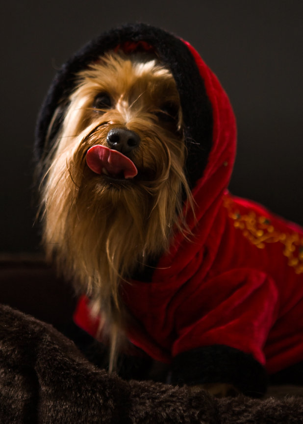 Espresso photography, art and love combined in one shot.