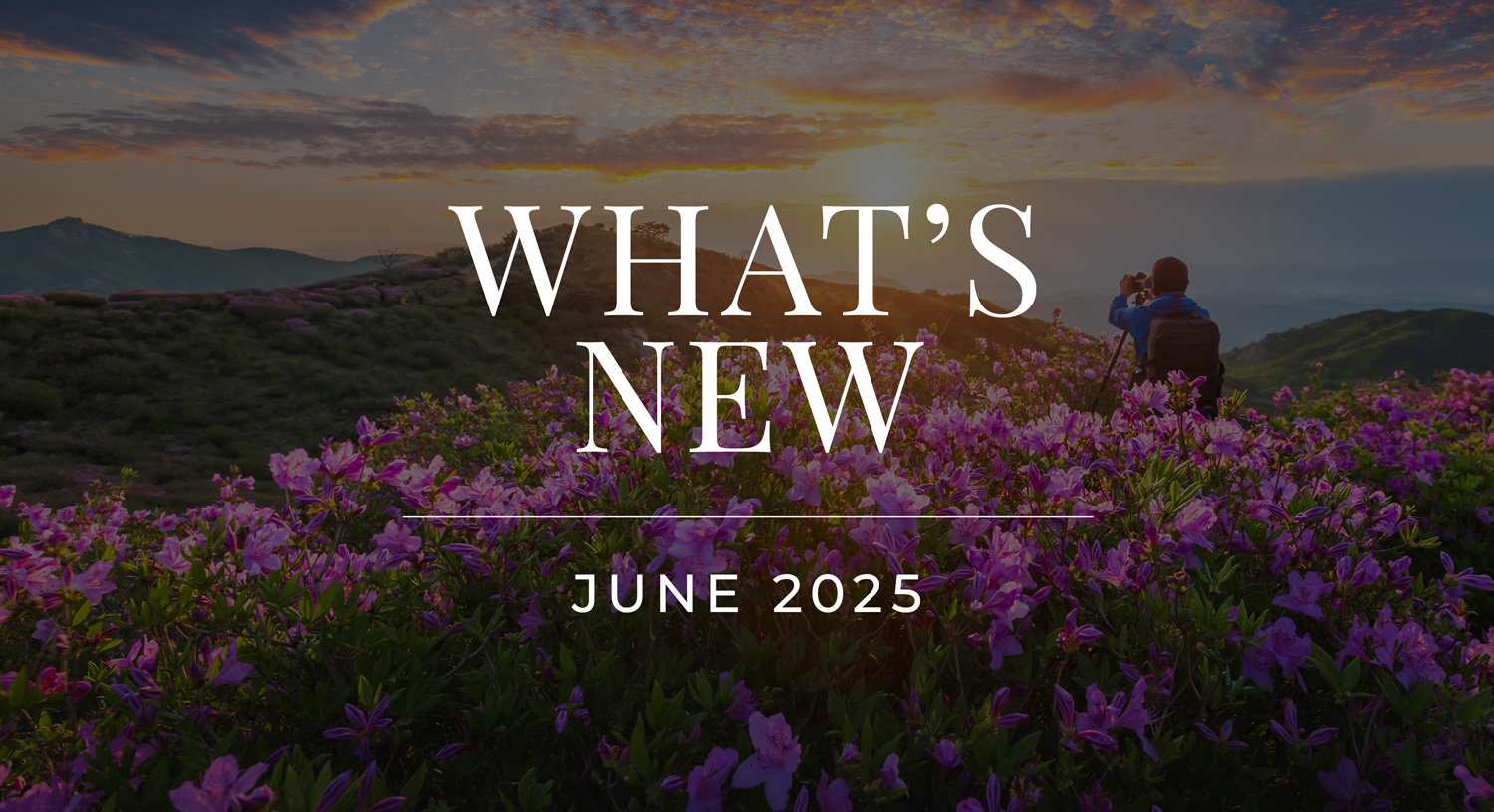 What's New - August 2025