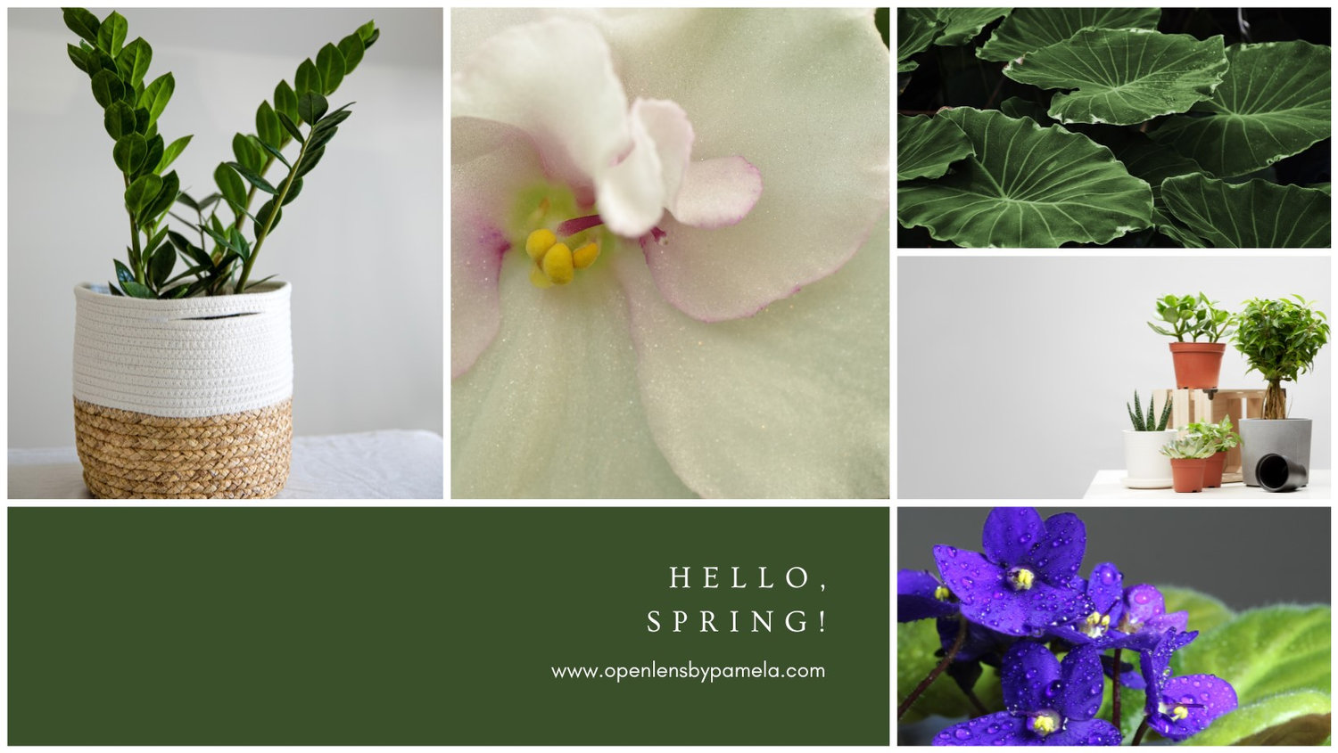 What to expect in a Photo Story Branding Session