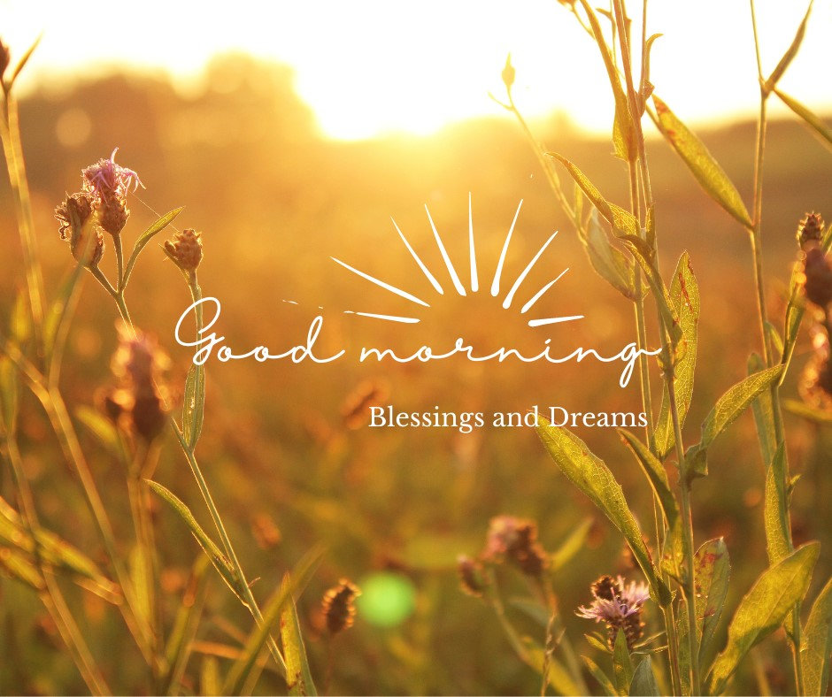 What to expect in a Photo Story Branding Session