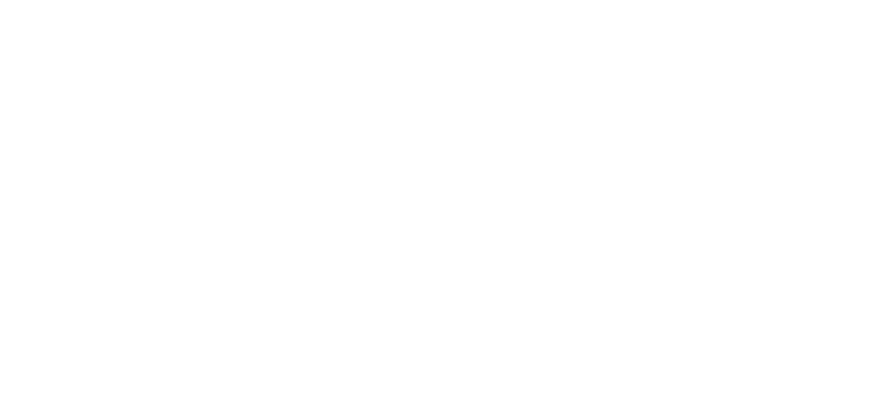 Aerial Vision Chicago