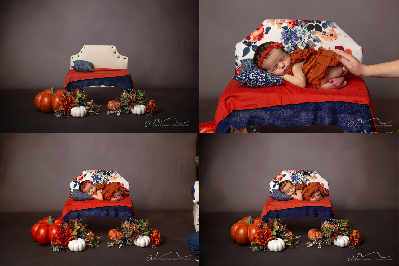 Hailee's Studio Maternity Session - Augusta, Wisconsin
