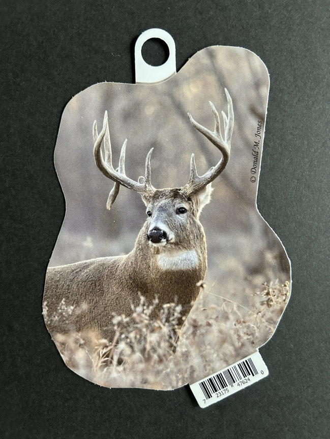 Whitetail Buck S6 705