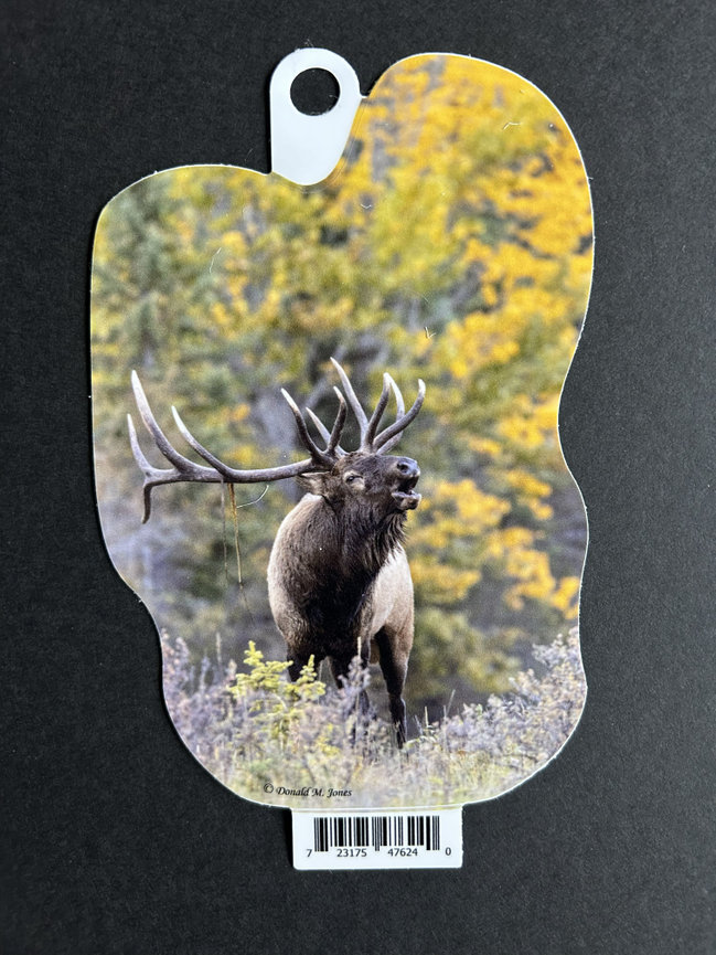 Bull Elk S4 691