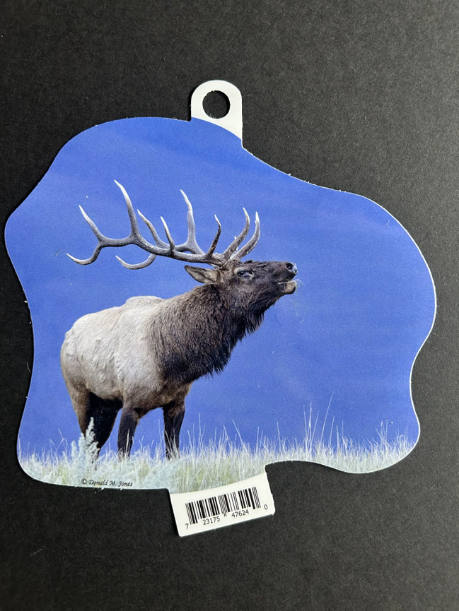 Bull Elk S6 692