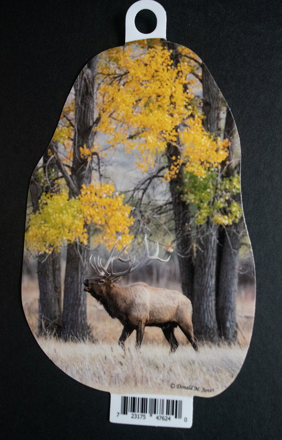 Bull Elk S6 612
