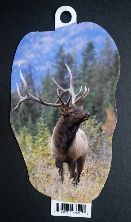 Bull Elk S6 609