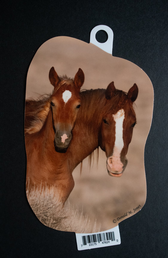 Wild Horse S4 737
