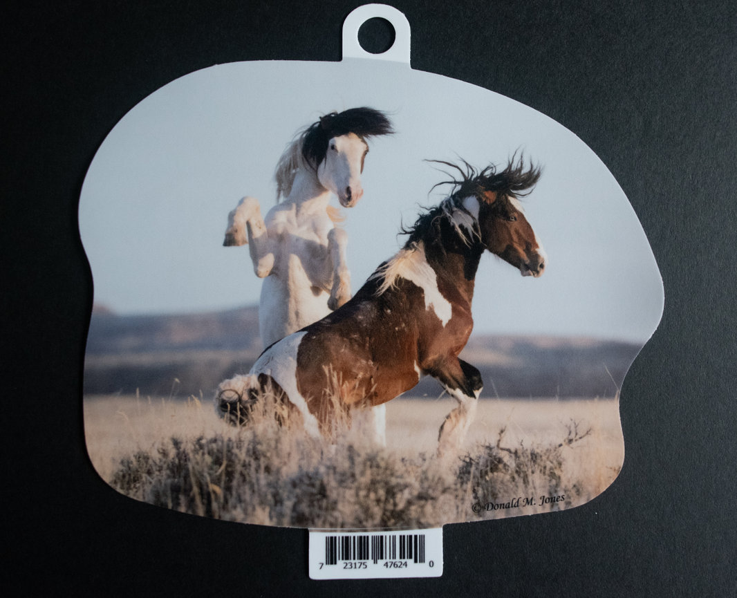 Wild Horse S4 736