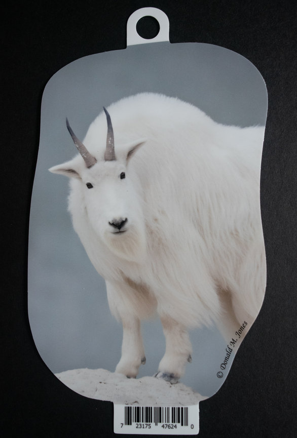 Mountain Goat S4 727