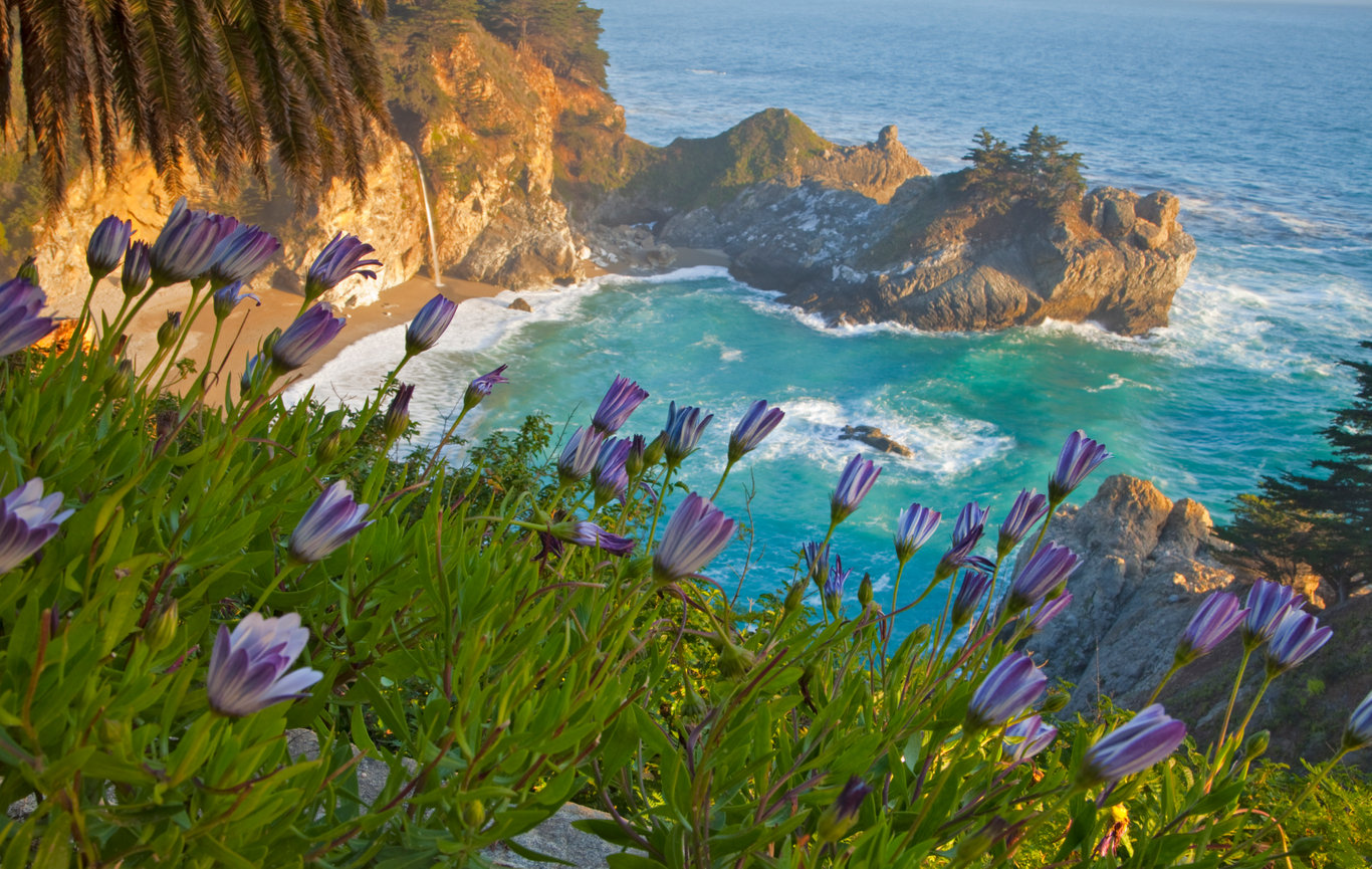 Julia Pfeiffer Burns State Park CH 4153