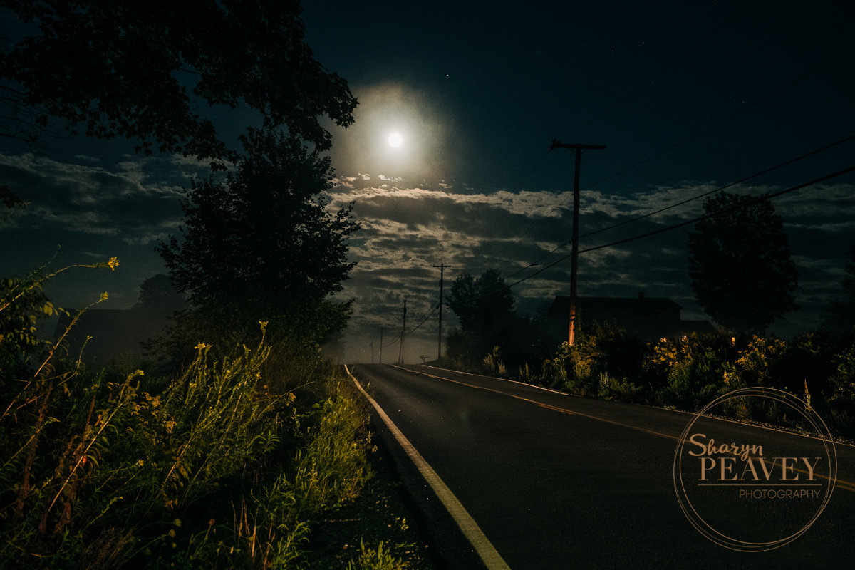 Auzzie's Photo Session in Pownal