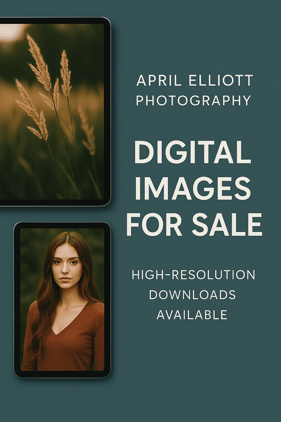 Digital Images